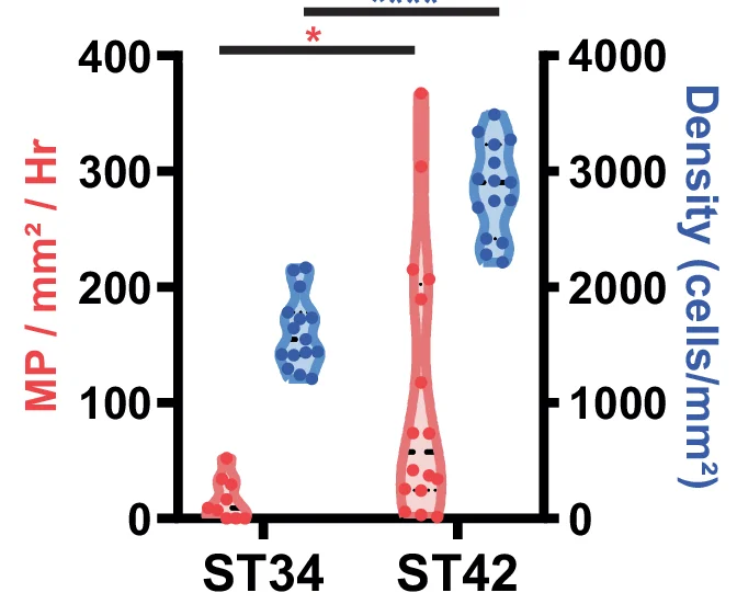 Open access visualization of Violin Plot, Cell Density, Macropinocytosis, Embryos