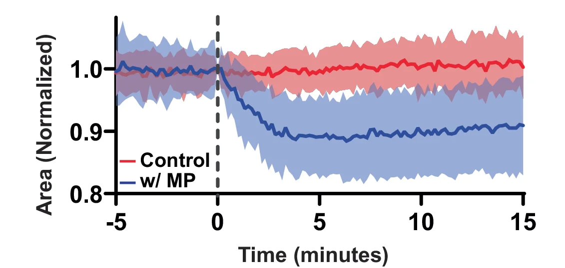 Open access visualization of Line Plot, Error Bars, Cell Size, Macropinocytosis, Quantification