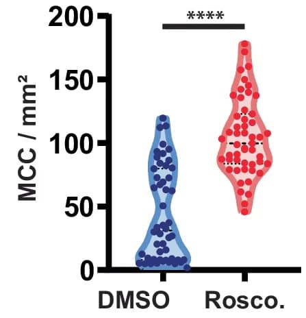 Open access visualization of Violin Plot, Multiciliated Cells, Embryo, DMSO, Roscovitine