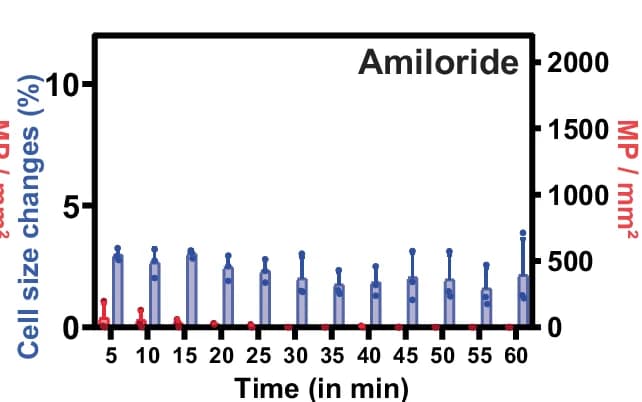 Open access visualization of Bar Plot, Scatter Plot, Error Bars, Tissue Remodeling, Cell Apical Area