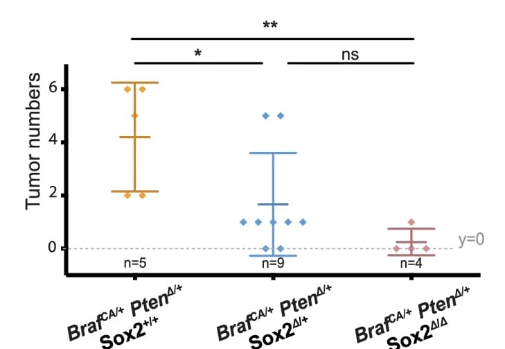 Open access visualization of Scatter Plot, Error Bars, Sox2 Deletion, Melanocytic Cells, NC-Derived Cells