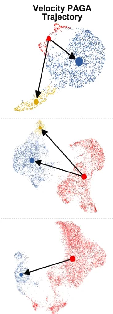Open access visualization of Scatter Plot, Network, Tumors, NSG Mice, scRNA-seq