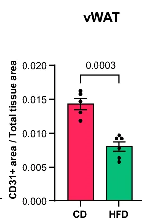 Open access visualization of Bar Plot, Error Bars, Blood Vessel, CD31+ Area, vWAT