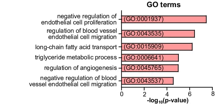Open access visualization of Bar Plot, Gene Ontology, Biological Processes, Cap I Endothelial Cells