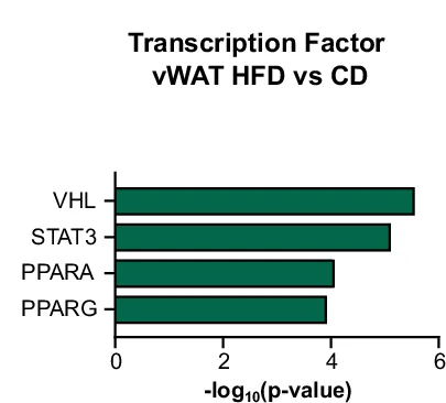 Open access visualization of Bar Plot, GO Term, Biological Processes, Cap II Endothelial Cells