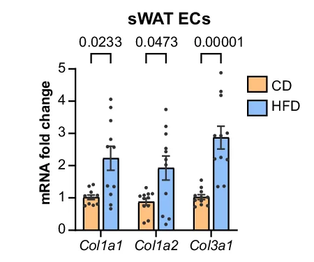 Open access visualization of Bar Plot, Error Bars, Scatter Plot, Quantitative Real-Time PCR, Collagen Genes