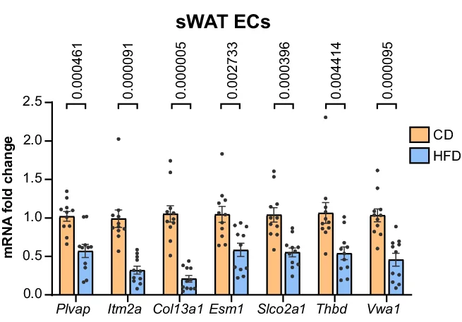 Open access visualization of Bar Plot, Error Bars, Clustered, Scatter Plot, Quantitative Real-Time PCR