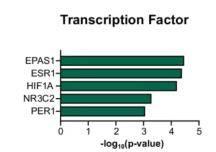 Open access visualization of Bar Plot, TTRUST, Transcription Factor Analysis, Upstream Regulators, Fenestrated Endothelial Cells