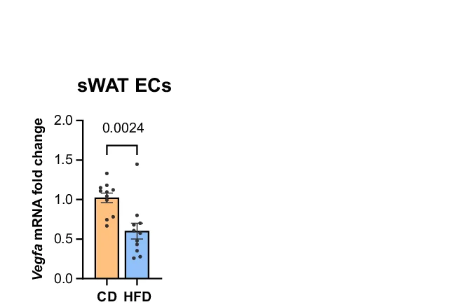 Open access visualization of Bar Plot, Error Bars, Quantitative Real-Time PCR, Vegf Receptors, Vegfa