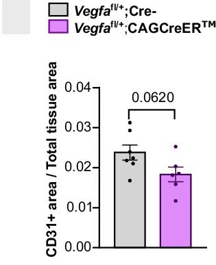 Open access visualization of Bar Plot, Error Bars, Tamoxifen, Vegfa, Loss-of-function