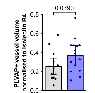 Open access visualization of Bar Plot, Error Bars, Quantification, PLVAP, Blood Vessel