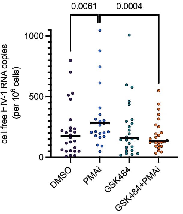 Open access visualization of Scatter Plot, Extracellular HIV-1 RNA, PMAi, GSK484, Cohort