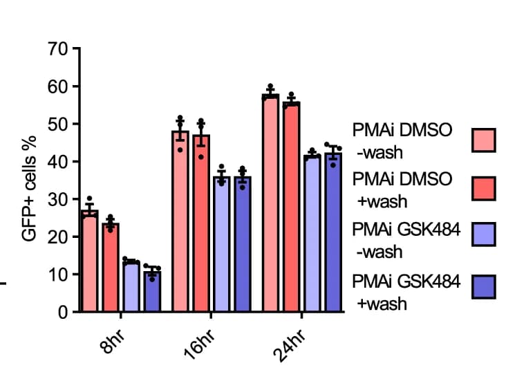 Open access visualization of Bar Plot, Error Bars, Clustered, 5A8 Cells, PMAi