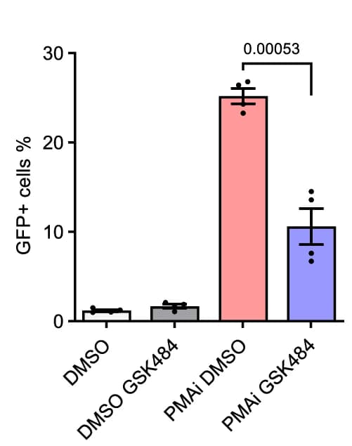 Open access visualization of Bar Plot, Error Bars, Polyclonal K562-Lat, PMAi, GSK484