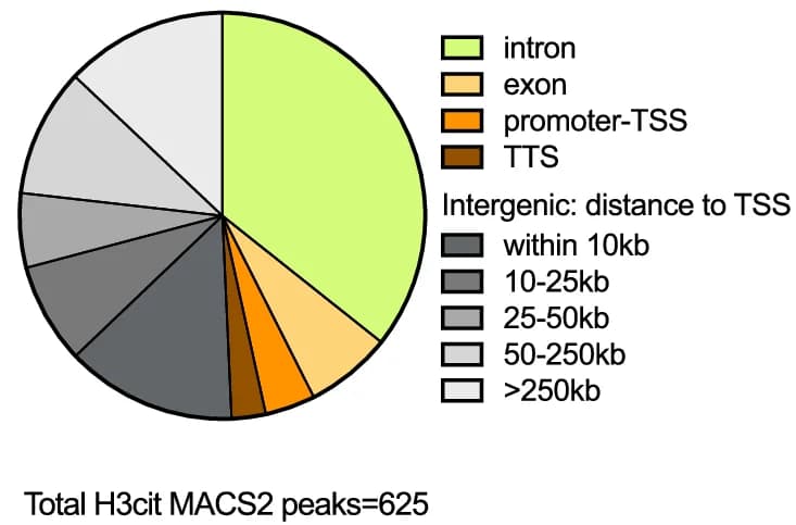 Open access visualization of Pie Chart, ChromHMM Analysis, Chromatin Marks, Similarity