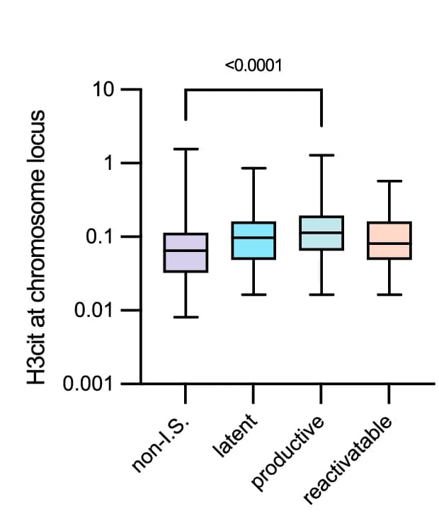 Open access visualization of Box Plot, Quantification, H3cit, Proviral Integration Sites, Proviral Activation