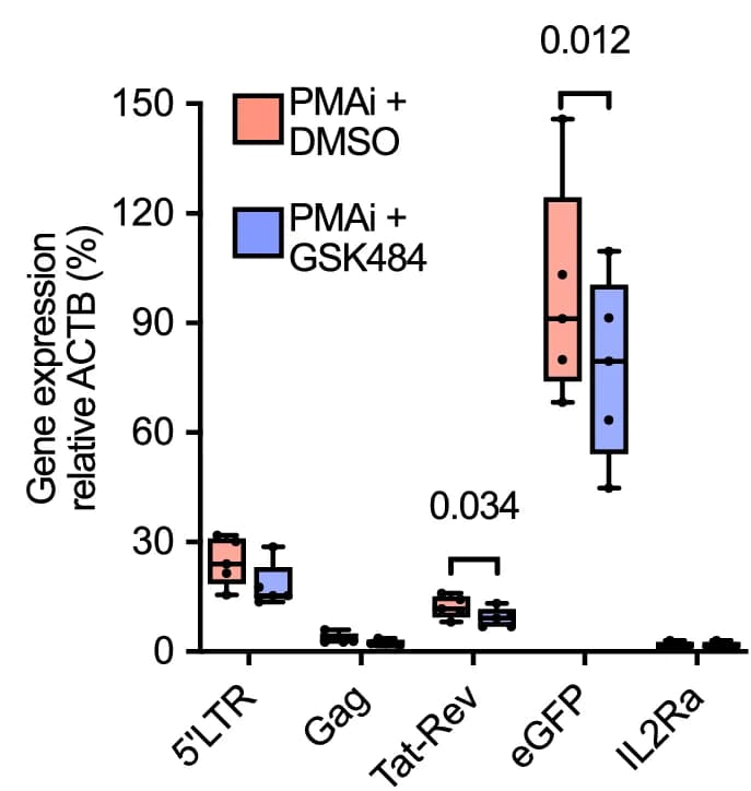 Open access visualization of Box Plot, RT-qPCR, Transcripts, 5A8, PMAi