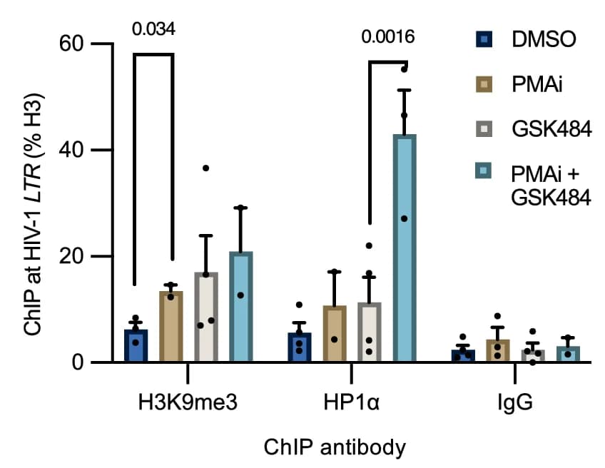 Open access visualization of Bar Plot, Error Bars, Clustered, H3K9me3, HP1alpha