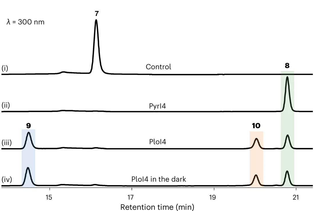 Open access visualization of Line Plot, HPLC Analysis, Enzymatic Conversion, PyrI4, PloI4
