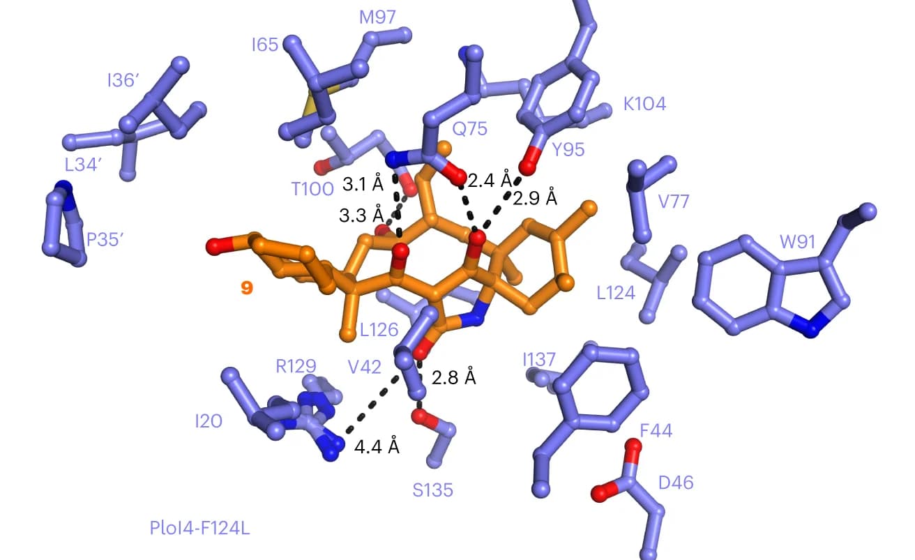Open access visualization of Protein Structure, Chemical Structure, PloI4-F124L, Adduct 9, Interactions