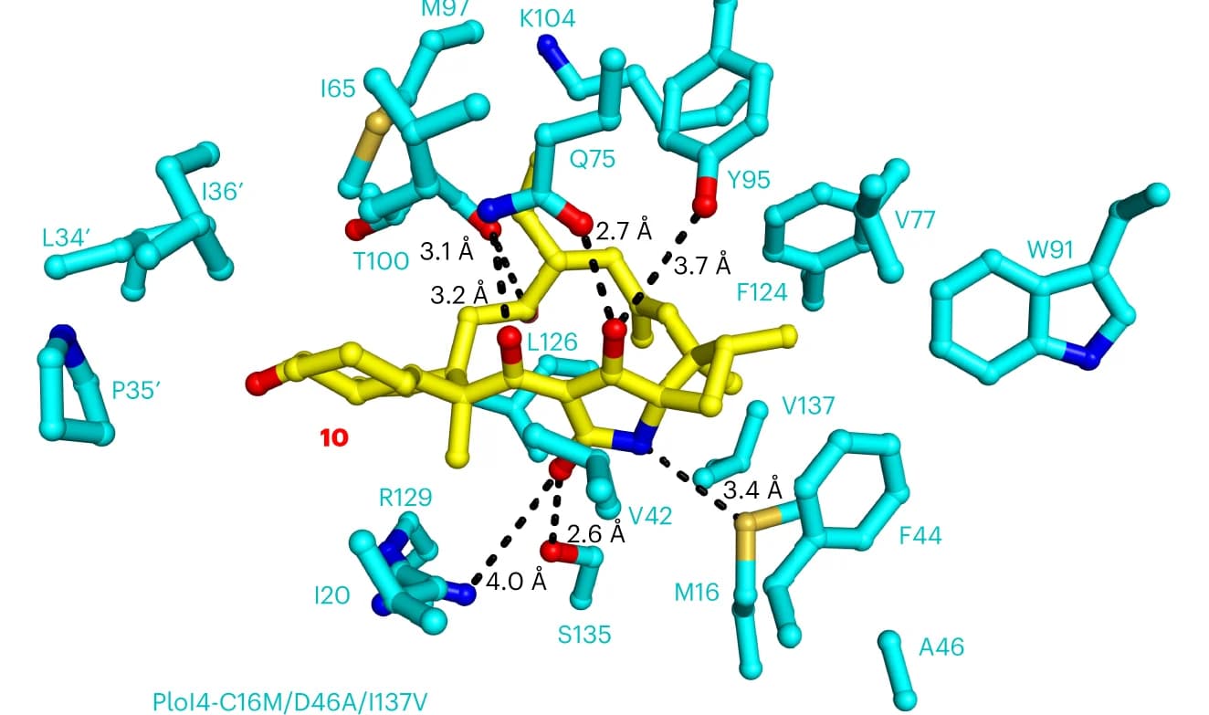 Open access visualization of Protein Structure, Chemical Structure, PloI4-C16M/D46A/I137V, Adduct 10, Interactions