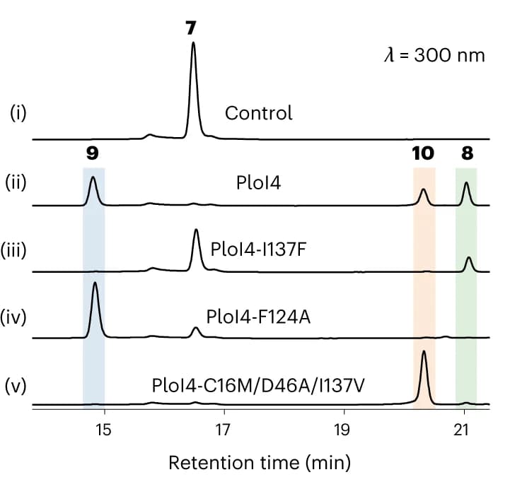 Open access visualization of Line Plot, HPLC Analysis, Enzymatic Conversion, Control, Wild-type PloI4