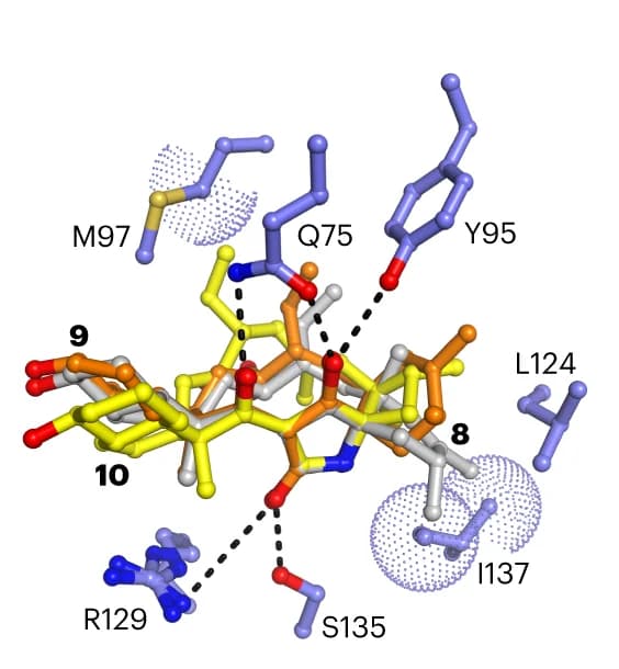 Open access visualization of Protein Structure, Chemical Structure, Products, Active Site, PloI4-F124L