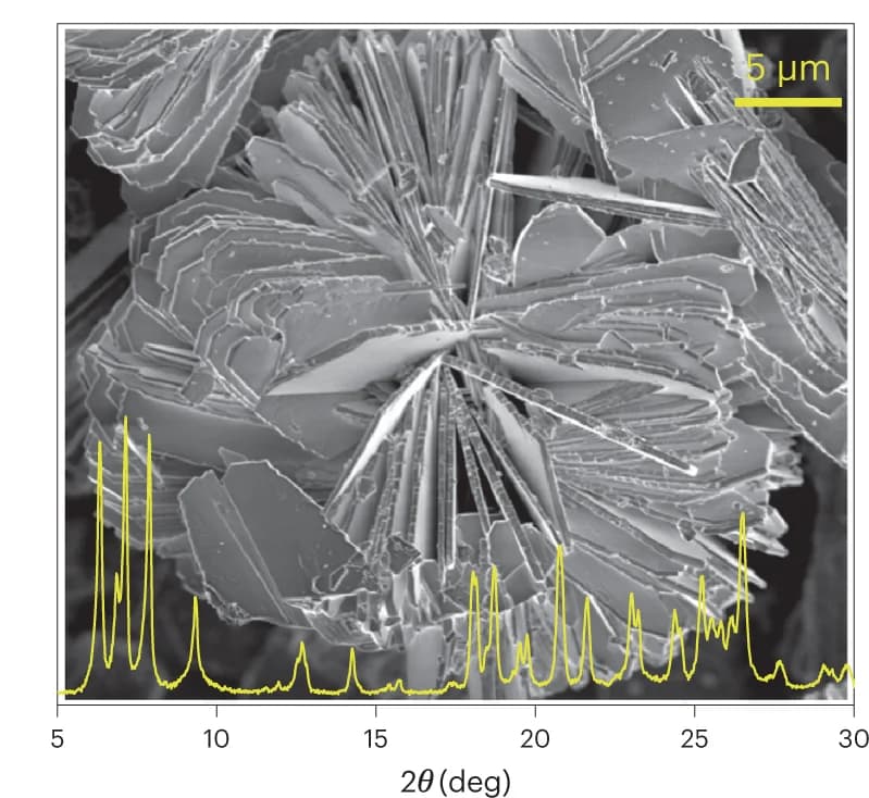 Open access visualization of Microscopy, Line Plot, Product B, Crystals, Needle-like morphology