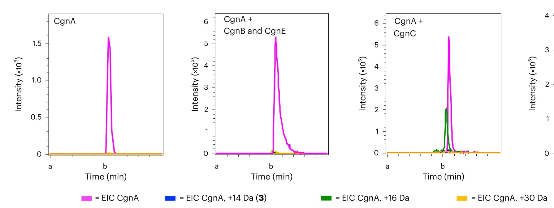 Open access visualization of Line Plot, Extracted Ion Chromatograms, CgnA, CgnB, CgnE