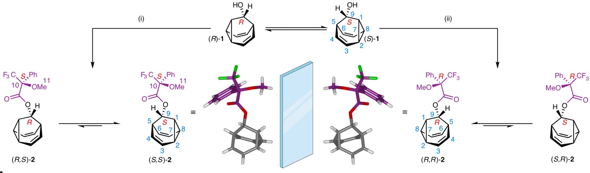 Open access visualization of Chemical Structure, BB Cage, Stereochemical Equilibrium, Chiral Auxiliary