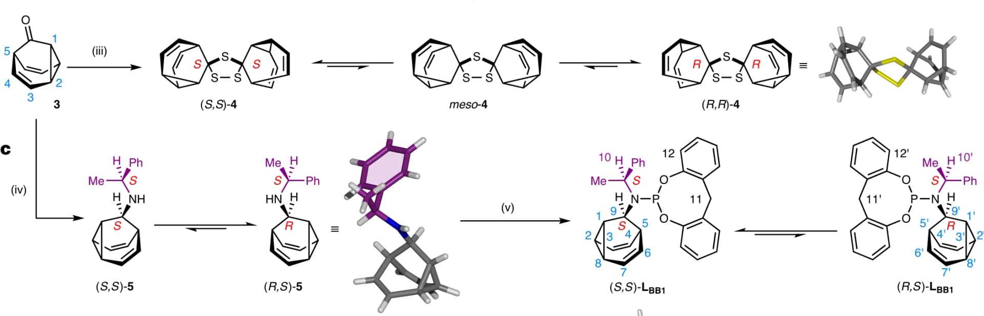 Open access visualization of Chemical Structure, BB Cage, Stereochemical Equilibrium, Spirocyclic Bridge, Dimerization