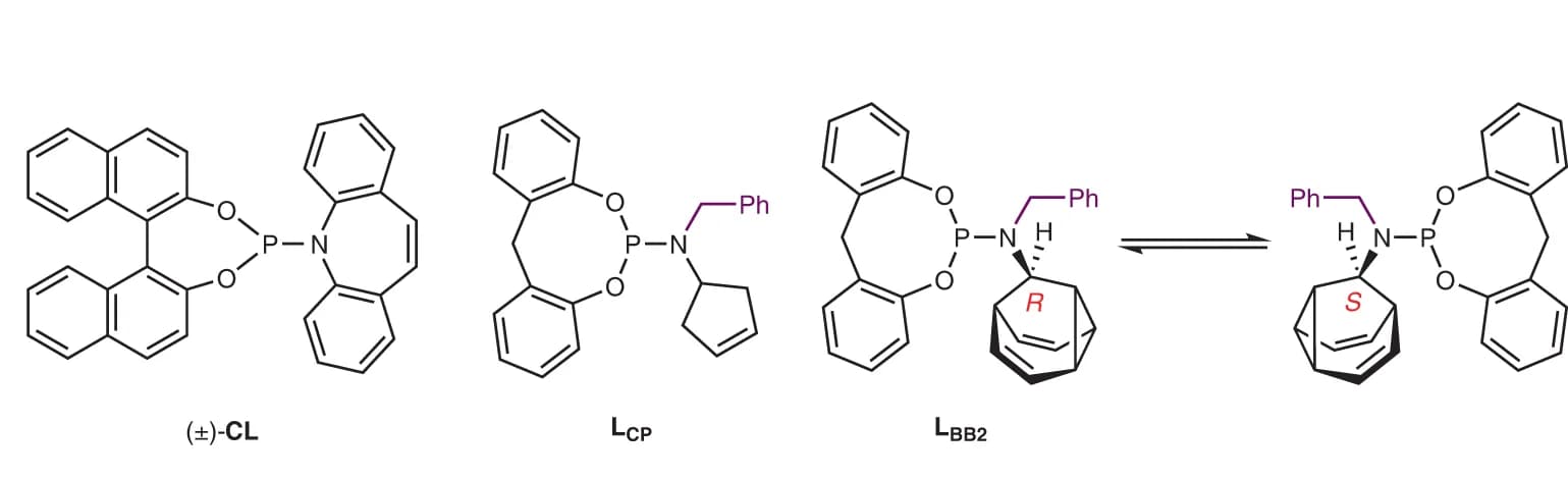 Open access visualization of Chemical Structure, Stereoinduction, Phosphoramidite Ligands, Iridium Catalysis, Allylic Substitution