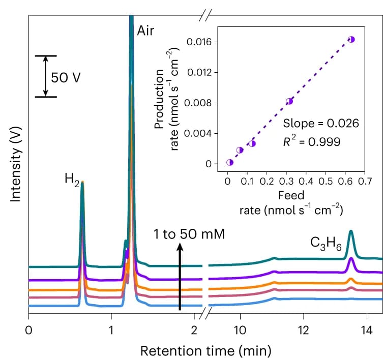 Open access visualization of Line Plot, Scatter Plot, Regression Plot, Gas Chromatographs, Electrochemical Reduction