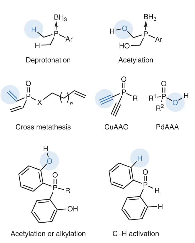Open access visualization of Chemical Structure, Catalysis, Enantioselectivity, Desymmetrization, P(V) Compounds