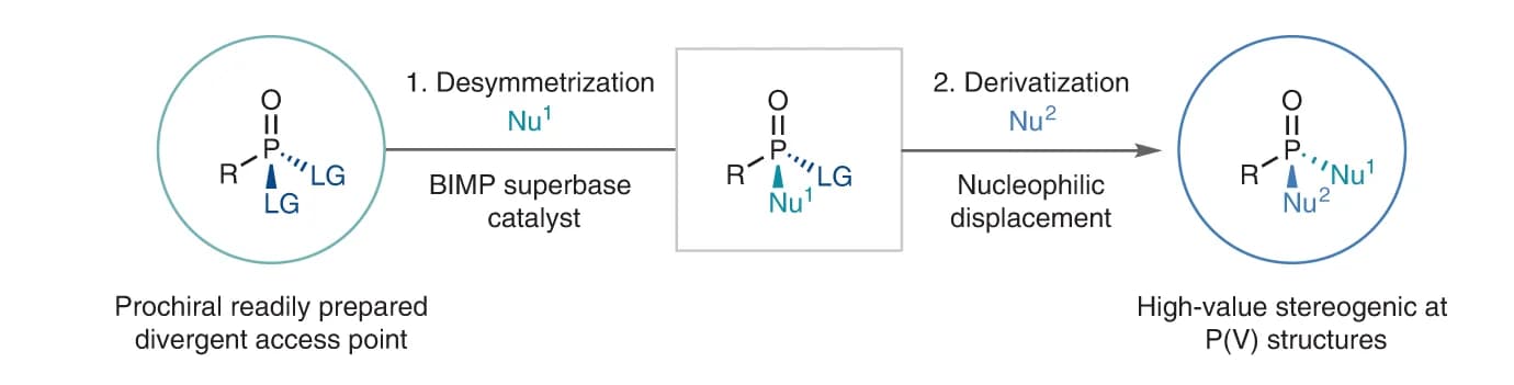 Open access visualization of Workflow, Flowchart, Strategy, Construction, Enantiopurity