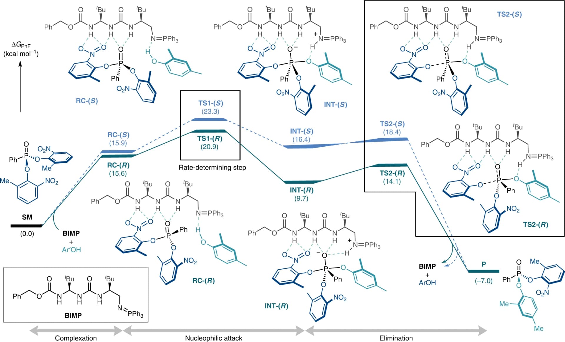Open access visualization of Line Plot, Potential Energy Surface, Enantioselective Nucleophilic Desymmetrization, P(V) Compound, BIMP Catalyst