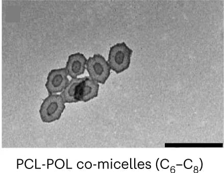 Open access visualization of Microscopy, TEM Images, PCLPOL