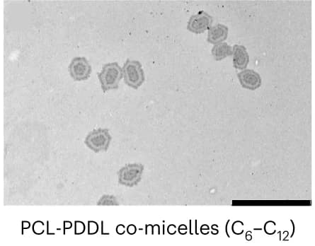 Open access visualization of Microscopy, TEM Images, PCLPDDL