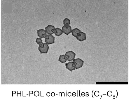 Open access visualization of Microscopy, TEM Images, PHLPOL