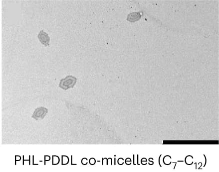 Open access visualization of Microscopy, TEM Images, PHLPDDL