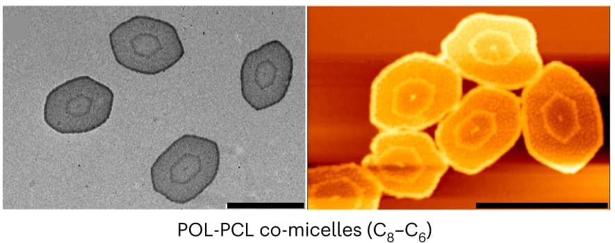 Open access visualization of Microscopy, TEM Images, AFM Height Images, POLPCL