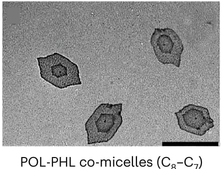 Open access visualization of Microscopy, TEM Images, POLPHL