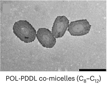 Open access visualization of Microscopy, TEM Images, POLPDDL