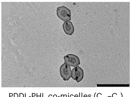 Open access visualization of Microscopy, TEM Images, PDDLPHL