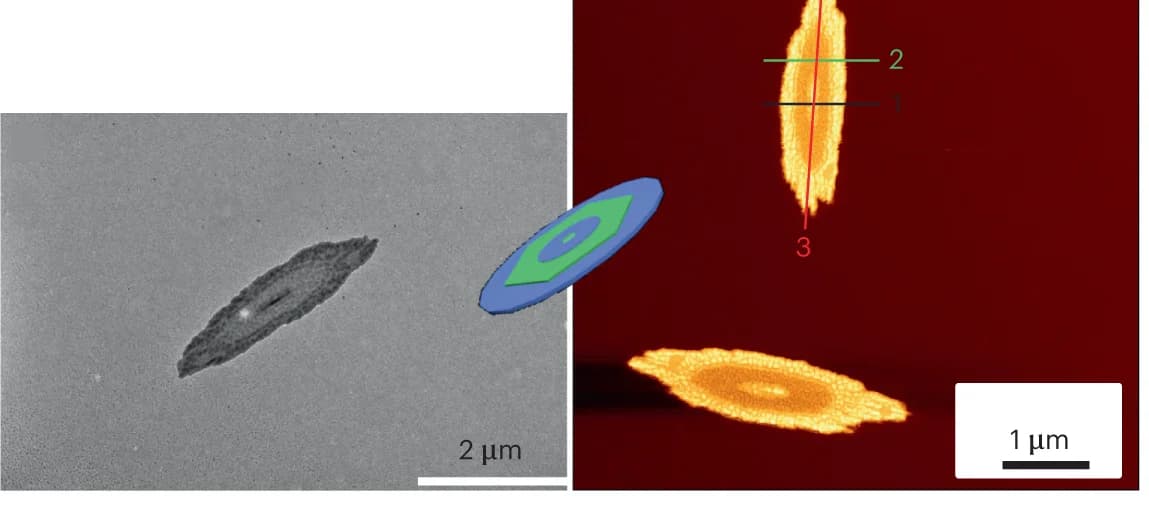 Open access visualization of Microscopy, Illustration, TEM image, Triblock co-micelles