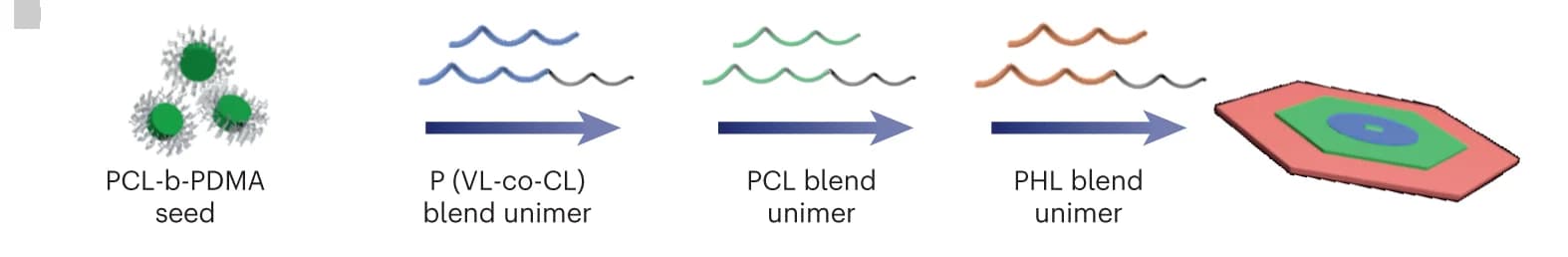 Open access visualization of Workflow, Illustration, Platelet Block Co-micelles, Seeded Growth, Unimers