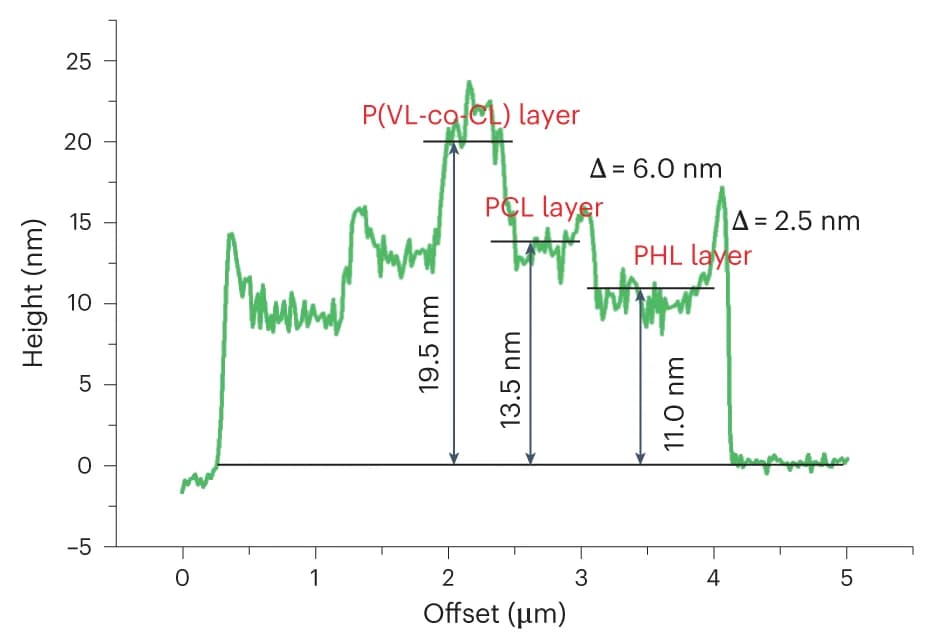 Open access visualization of Line Plot, Height Profile, Triblock Co-micelles