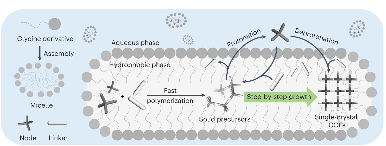 Open access visualization of Workflow, Illustration, Micelle, Single-Crystal COFs, Palmitoylglycine