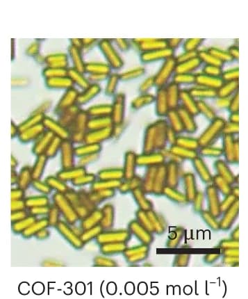 Open access visualization of Microscopy, COF-301, TAM, Linker A, C 16 -GlyA