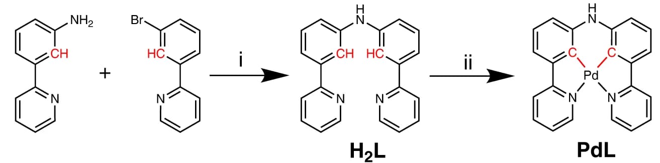 Open access visualization of Workflow, Chemical Structure, Illustration, Synthesis, Palladium Complex